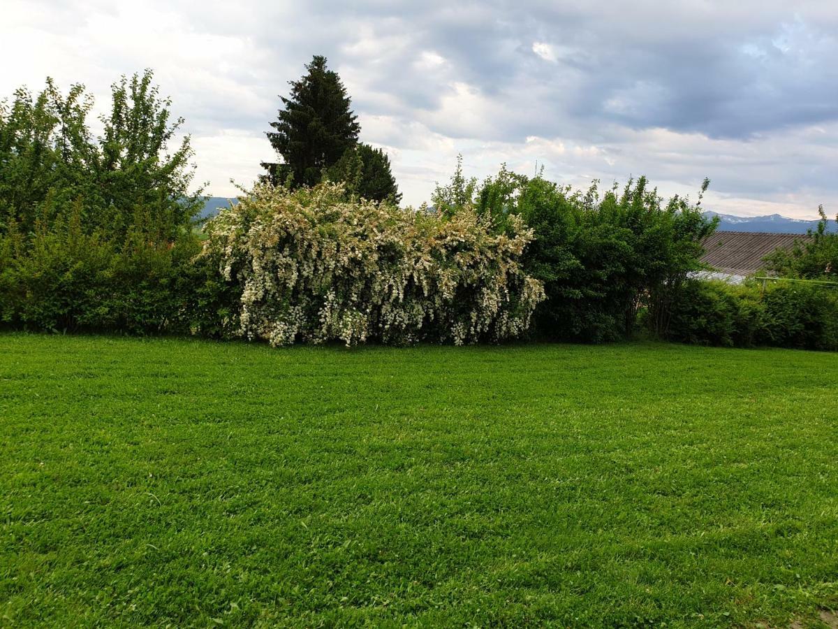 פוהנסדורף Sofia Apartment & Zimmer Sillweg Naehe Rebull Ring מראה חיצוני תמונה